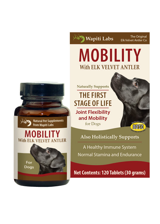 Wapiti Labs Elk Velvet Antler Mobility Supplement for Dogs - 120 Count Tablet