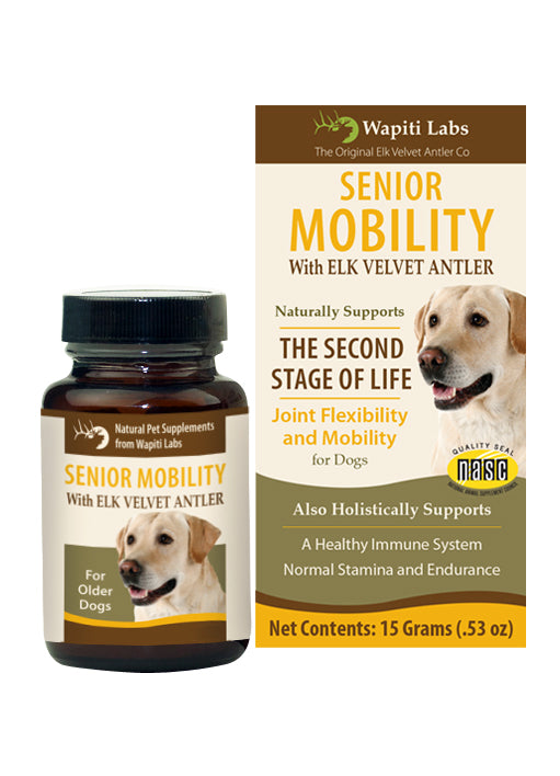 Wapiti Labs Elk Velvet Antler Senior Mobility Supplement for Dogs 15gm